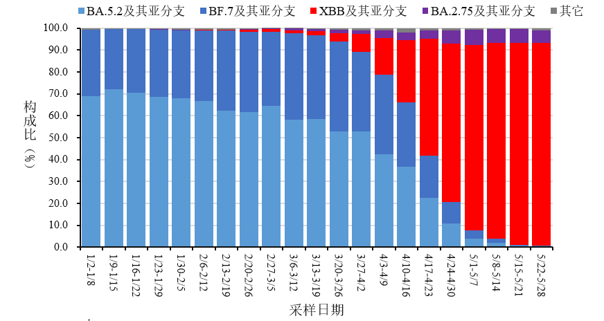 新疆疫情最新動態(tài)，自然療愈之旅助力重拾內(nèi)心寧靜與微笑
