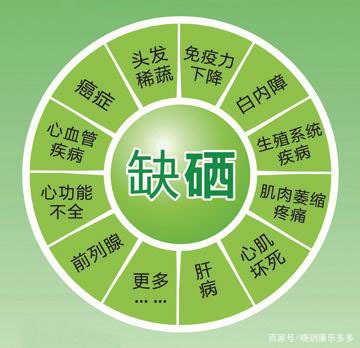 硒鏈最新消息,重磅推出硒鏈，科技新星，引領(lǐng)健康生活新紀(jì)元