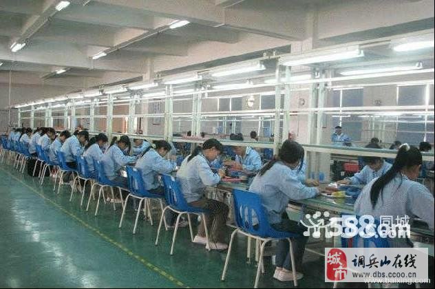 費(fèi)縣工廠最新招聘信息全面概覽