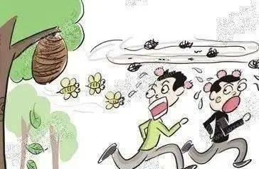 最新摘馬蜂窩視頻,最新摘馬蜂窩視頻，探索自然美景的旅行，尋找內(nèi)心的平和