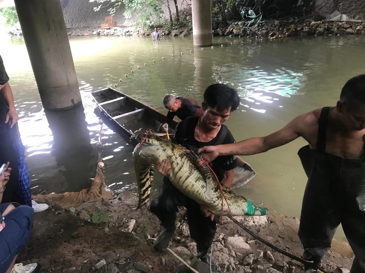 捕魚大作戰(zhàn)最新漏洞揭秘，犯罪行為的警示與警惕