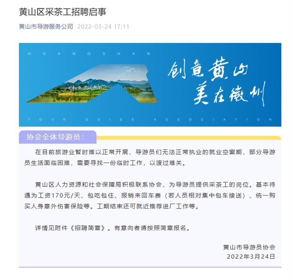 安徽郎溪最新招聘啟事，夢想起航，共創(chuàng)未來無限可能
