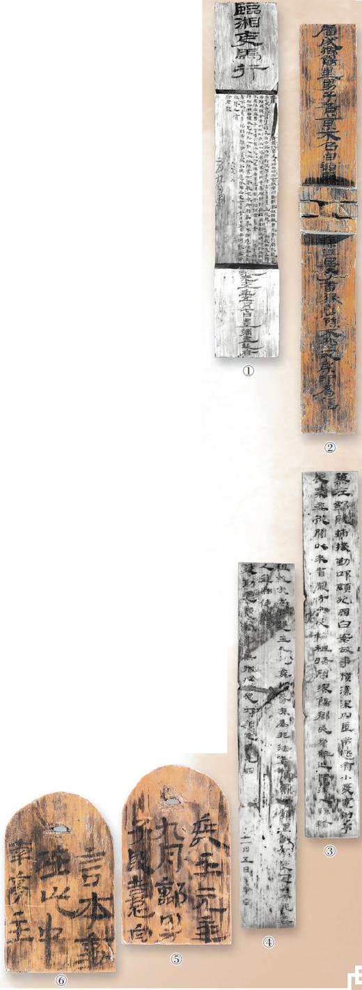 簡夏冷廷遇最新章節(jié),簡夏冷廷遇最新章節(jié)，蛻變的力量與自信的綻放