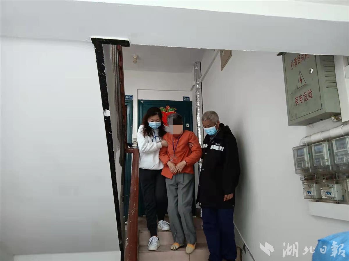 最新洪訊，自然美景探索之旅