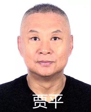 賈平演員，小巷深處的寶藏探索與特色小店的魅力之旅