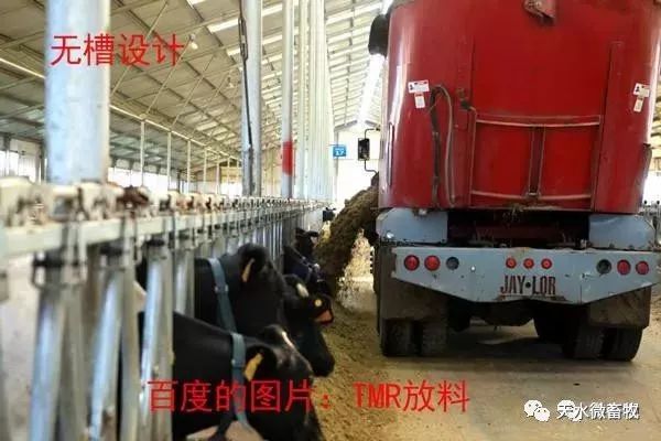 最新牛槽設(shè)計(jì)圖揭秘，牛棚中的溫馨生活