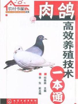 一只奇鴿最新版下載,高效計劃實施_瞬間版23.742
