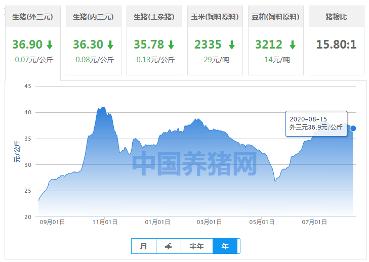 第1197頁