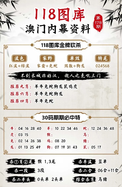 新澳門(mén)王中王100%期期中,新式數(shù)據(jù)解釋設(shè)想_精致版62.239