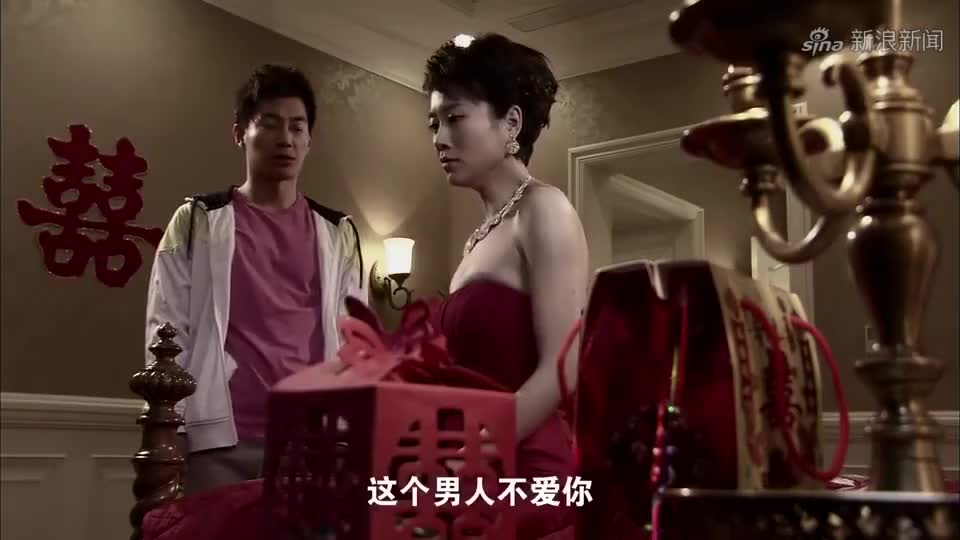葉安安最新論述分析概覽