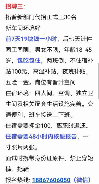 最新臨時(shí)招聘的利弊分析與個(gè)人視角觀(guān)察