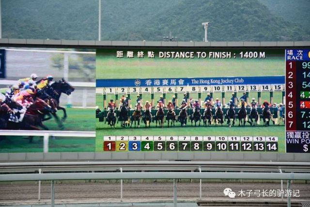 2025香港賽馬全年免費資料,穩(wěn)固執(zhí)行方案計劃_珍藏版38.912