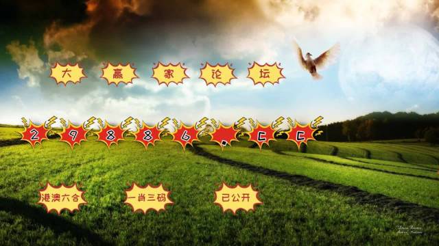 4949澳門彩開獎結(jié)果,專家解析意見_為你版38.756