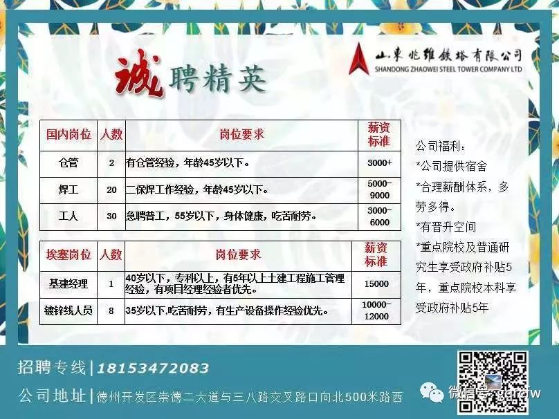 萊州招聘網(wǎng)最新招聘，時(shí)代脈搏與人才匯聚的交匯點(diǎn)