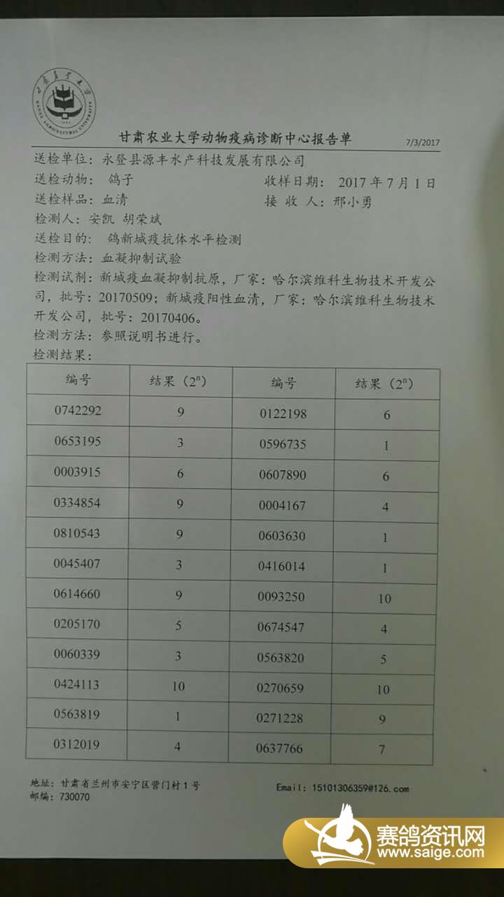 石家莊隔墻板 第99頁