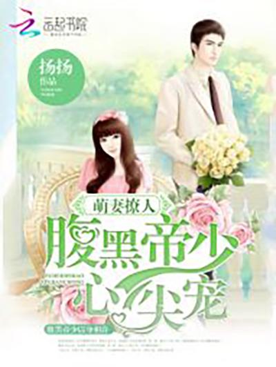 揚揚最新小說許靜寒，深度探索故事魅力與情感世界