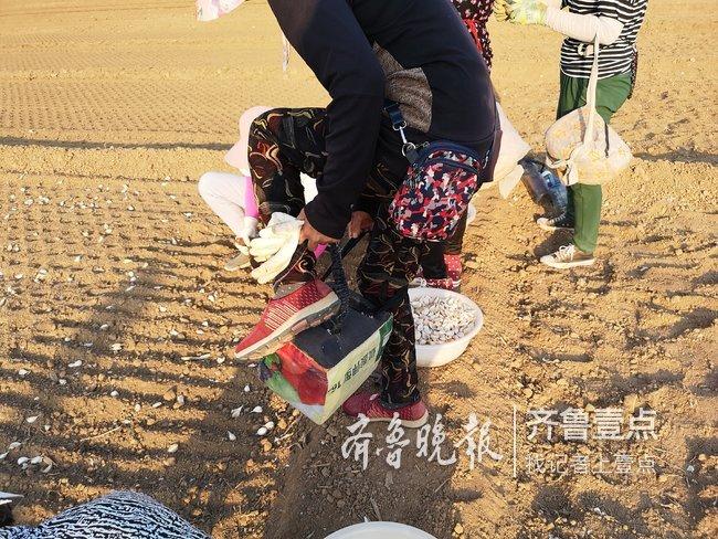商河最新招手工活發(fā)放,商河最新招手工活發(fā)放，機(jī)遇與挑戰(zhàn)并存