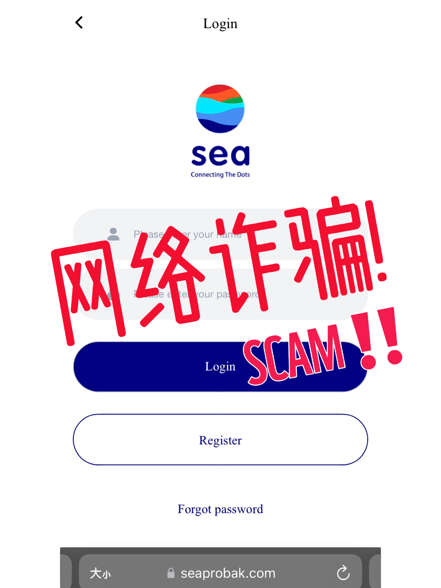 Saivian騙局揭秘，背后的力量與如何成就自信夢想