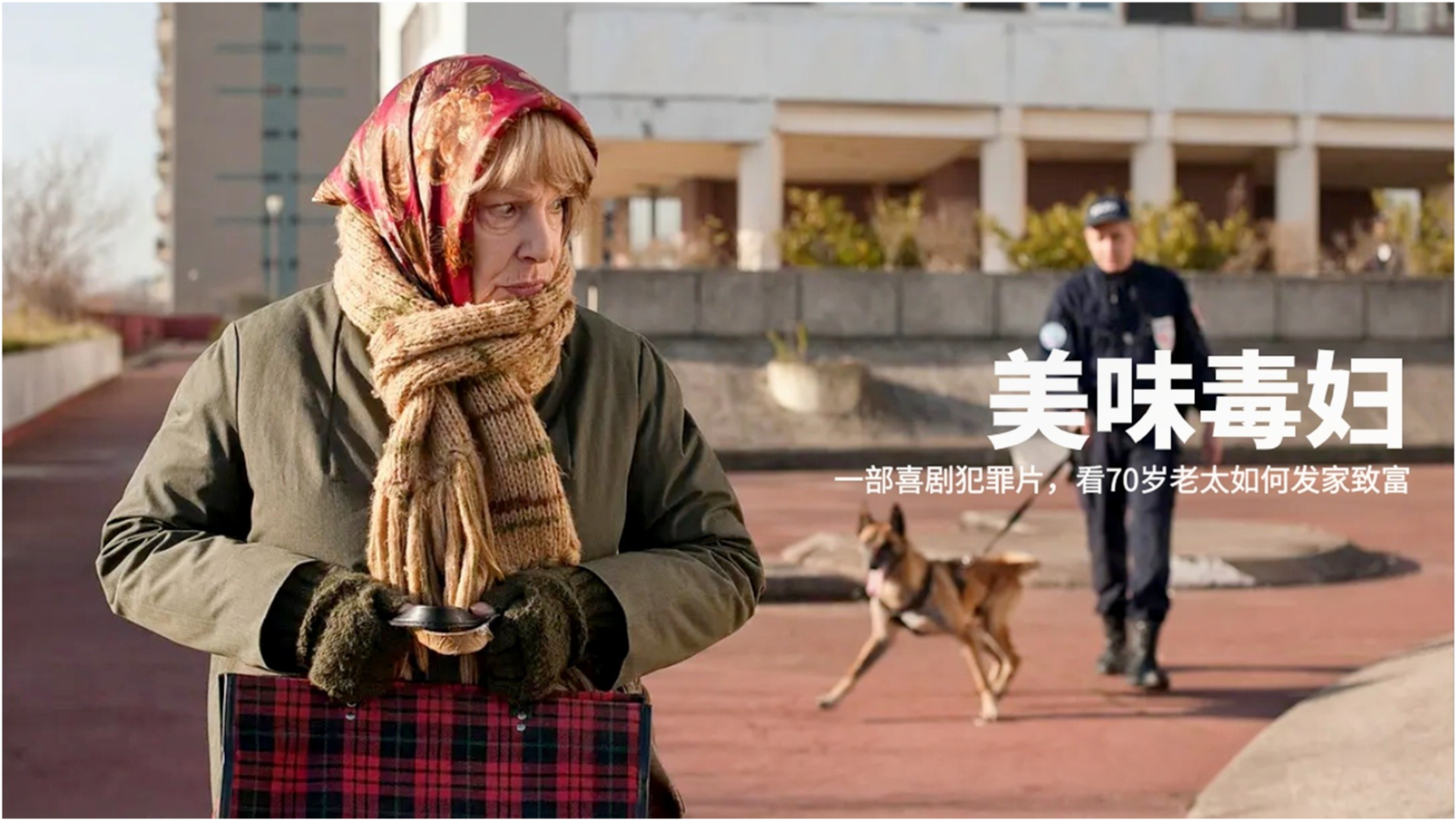 小巷深處的神秘小店揭秘，最新犯罪掙錢手段探秘