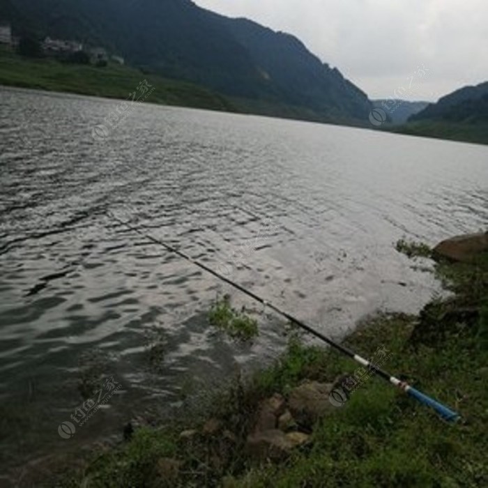 宜昌最新釣場，垂釣之樂與友情的完美交融