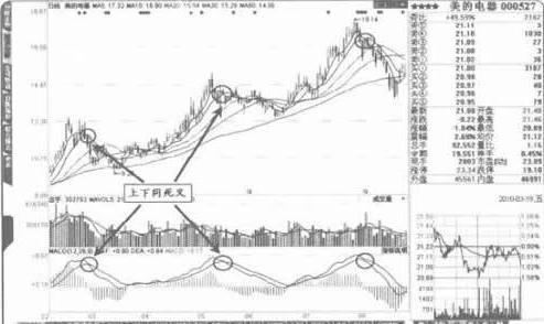 科技與金融融合重塑投資體驗，最新股市價格一覽
