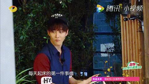 Nanhongyok最新動(dòng)態(tài)，多方觀點(diǎn)下的深度探討