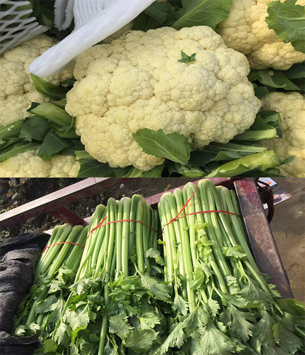 新野蔬菜最新價(jià)格，市場變化中的勵(lì)志之旅，自信與成就感的源泉