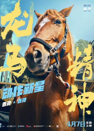 濟(jì)南隔墻板 第7頁(yè)