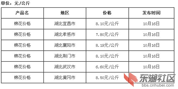 緬花最新價格探討，多元視角的論述與深度解析