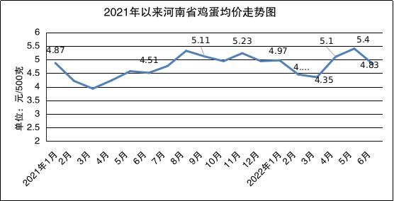河南蔬菜最新價格，市場變化中的價格動態(tài)與我們的關(guān)注焦點