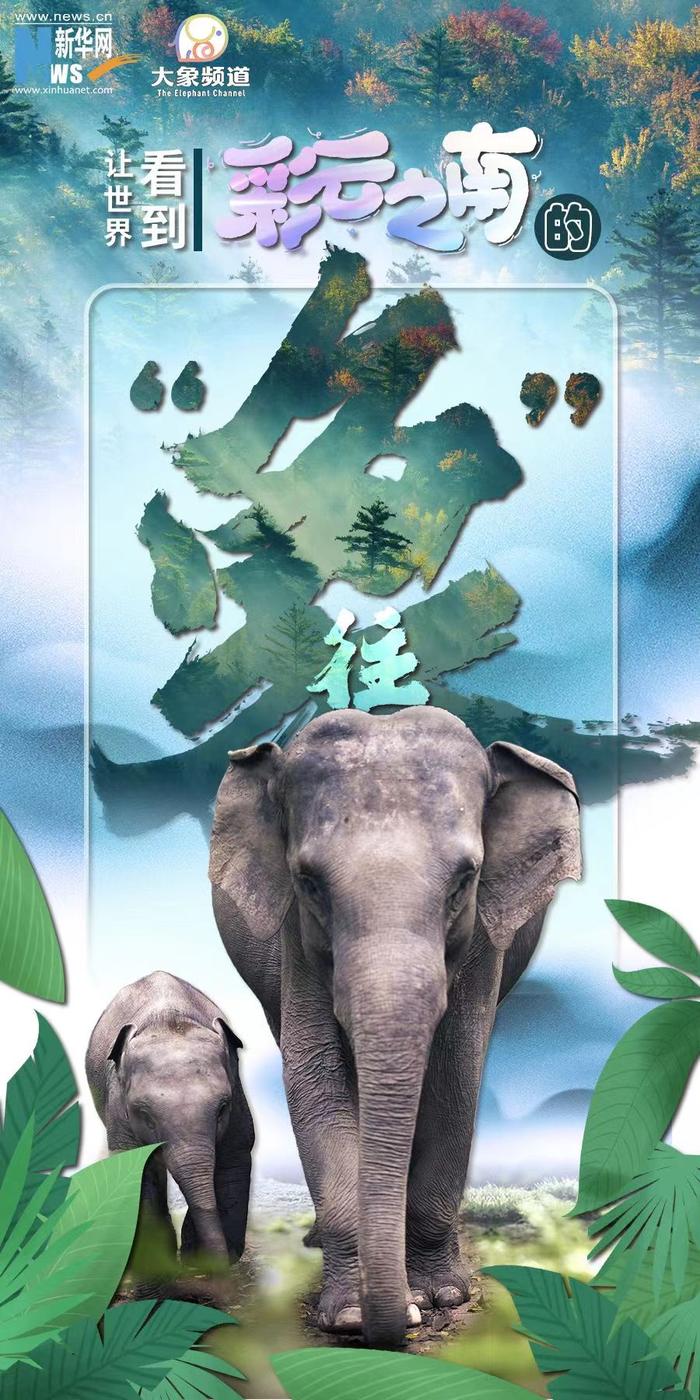 象游游最新現(xiàn)象，深度解析與觀點(diǎn)闡述