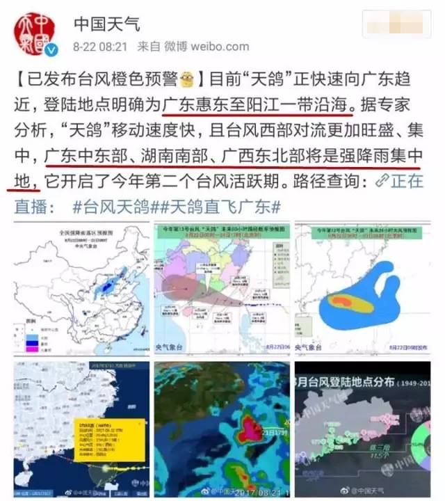 臺風天鴿最新動態(tài)，逆風翱翔，展現(xiàn)學習中的自信與成就之光